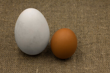 eggs on a wooden background