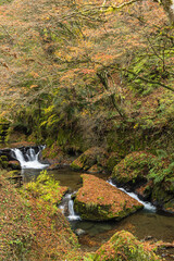 日本　京都府京都市の鞍馬にある貴船神社への道沿いにある貴船川と紅葉