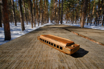 Old retro harmonica on wooden table in winter forest.