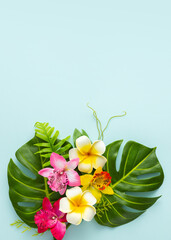 Summer background with tropical orchid flowers and green tropical palm leaves on light background....