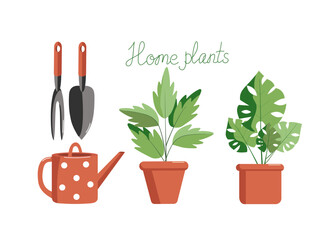 A set of gardening tools, a watering can , house plants. Isolated on a white background. Colored flat vector illustration. Floristics and gardening, hobbies, outdoor activities. Horticulture, agronomy