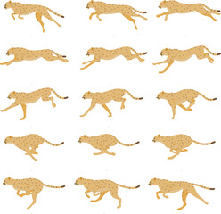 Cheetah - Runing- Animation Spritesheet, realistic animation, animal animation.