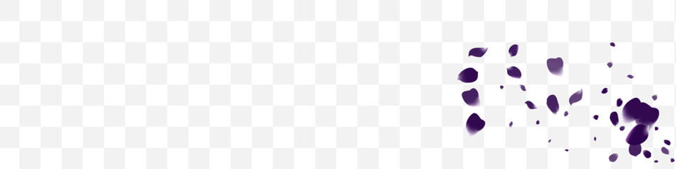 Beautiful Flower Tender Vector White Transparent