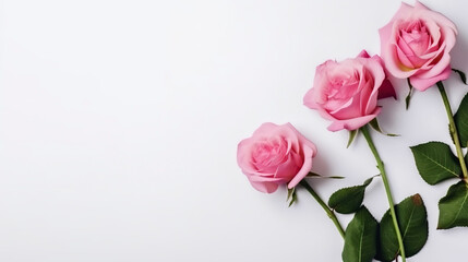 Fototapeta premium Banner with pink roses. Copy space, background. Generative AI.