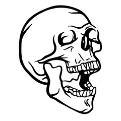 Skull Vector illustration, Hand Drawn Skulls