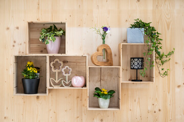 self-made wall decoration with old wine crates as a flower shelf on spruce board