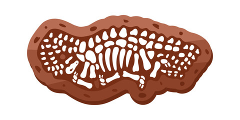 Brahiosaurus fossils skeleton. Brahiosaurus fossil bones. Dinosaur skeleton. Dinosaur bones with skull. Paleontology and archeology.