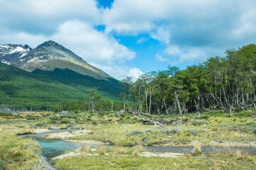 Landscape of Argentine Patagonia at the trail to Laguna Esmeralda (Emerald Lake) - Ushuaia,...