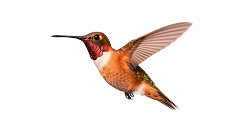 Flying hummingbird isolated on transparent background. PNG.  Small colorful bird in flight. Digital ai art	
