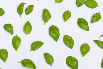green leaves background © Paweł Kacperek
