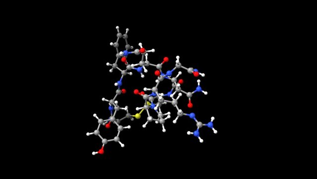 Animated 3D ball-and-stick and space fill models of antidiuretic hormone, vasopressin, black background