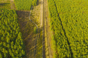 Rozległa równina porośnięta sosnowym lasem. Pomiędzy drzewami widać pojedyńczy, prosty tor kolejowy. Zdjęcie wykonano z wysokości przy użyciu drona. © boguslavus