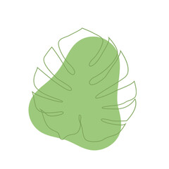 Fototapeta premium Flat Monstera Illustration