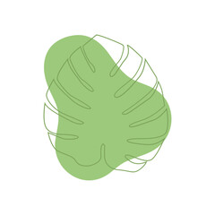 Flat Monstera Illustration