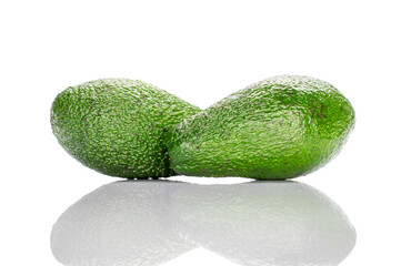 Two whole oval dark green ripe organic diet avocados lying on top of each other on a white background.