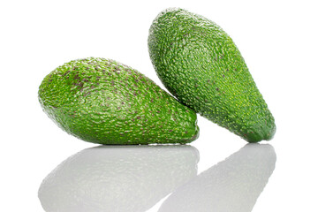 Two whole oval dark green ripe organic diet avocados lying on top of each other on a white background.