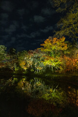 日本　京都府京都市にある高台寺の池に反射するライトアップされた紅葉