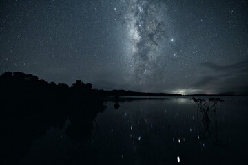 沖縄県小浜島水面に映る天の川とマングローブ