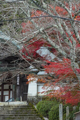 日本　京都府京都市にある本願寺北山別院の山門と紅葉