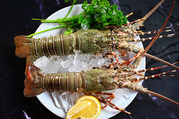 spiny lobster seafood on ice, fresh lobster or rock lobster with herb and spices lemon coriander...