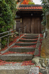 日本　京都府京都市にある金福寺の門と紅葉