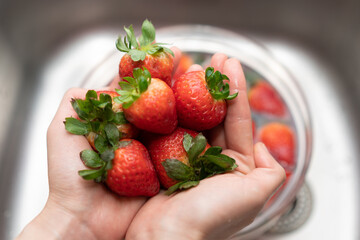 Strawberries in hands over a kitchen sink