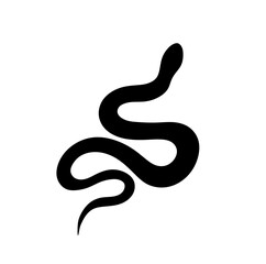 Vector isolated one single simple crawling snake top view bottom view colorless black and white outline silhouette shadow shape