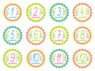 Baby monthly milestone stickers. Baby shower design elements. Vector illustration.