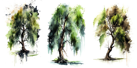 Watercolor tree isolated on white background. - obrazy, fototapety, plakaty