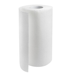 White paper towel roll cut out