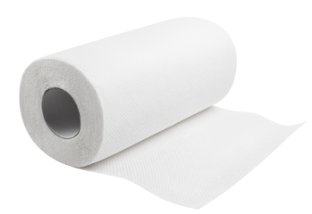 White paper towel roll cut out