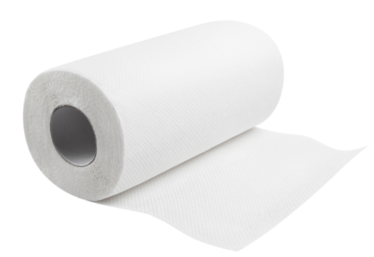 White paper towel roll cut out