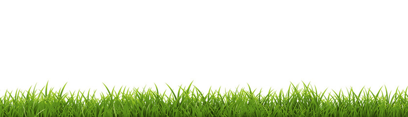 Grass Frame With White Background