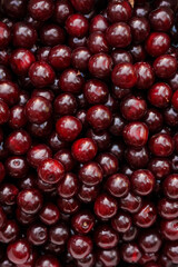 Cherry close-up, lots of berries