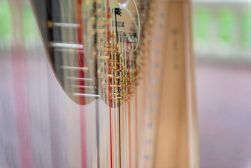 Luxury Harp Music Instrument. Close up Chord, String