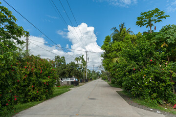 Street in Koror, Palau. Micronesia