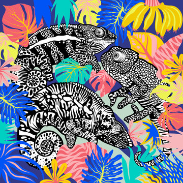 Beautiful black and white Chameleons on a branch with lots of tropical leaves on blue background