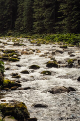 Fototapeta premium Nature scenic landscapes, mountain rivers and streams, brooks and small waterfalls, green summer nature