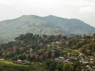 Fototapeta na wymiar Landscape around the beautiful town of Pfutsero in the Phek district of Nagaland.