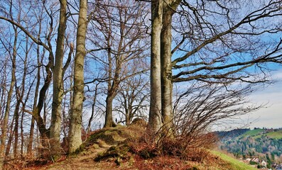 Höhenweg St. Gallen, Ostschweiz