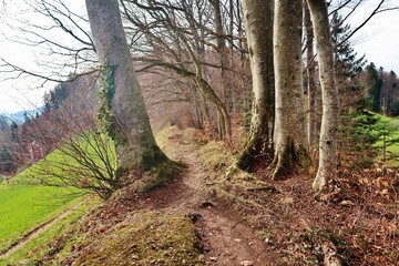 Höhenweg St. Gallen, Ostschweiz