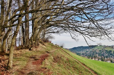 Fototapeta premium Höhenweg St. Gallen, Ostschweiz