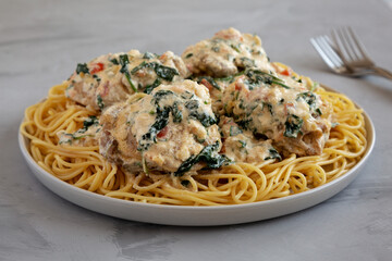 Homemade Creamy Tuscan Chicken with Spinach and Spaghetti Pasta, side view. Close-up.