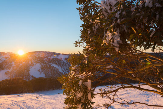 sun rise over the mountains, Mt Hotham, Australia
