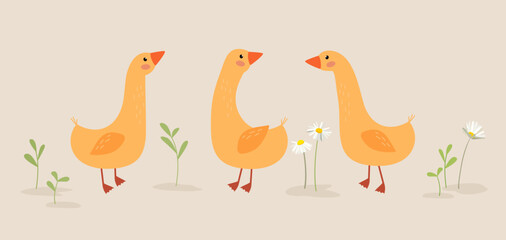 Cute geese in cartoon style.  Vector goose illustration