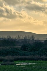 Vertical shot of a hazy morning at Brading marshes on the Isle of Wight