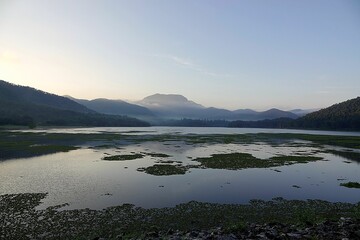 Water plants floating on the lake surface in a mountain forest under blue sky at sunrise