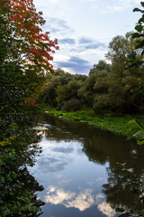 Fototapeta na wymiar Autumn foliage is reflected in the river. Riverside environmnet of autumn river