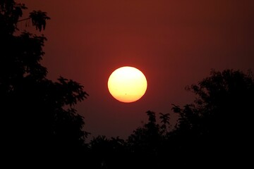 Closeup shot of an orange moon in water reflection surrounded by trees