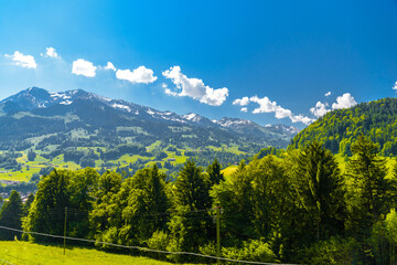 Fototapeta na wymiar Mountains and meadows covered with forest in the village Darstetten in Frutigen-Niedersimmental, Bern, Switzerland